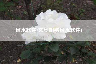 风水软件(玄奥阳宅风水软件)