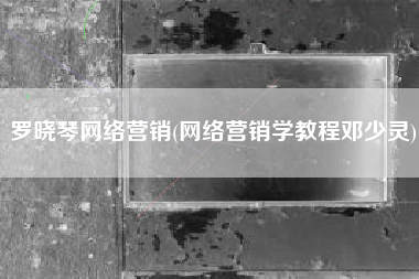 罗晓琴网络营销(网络营销学教程邓少灵)
