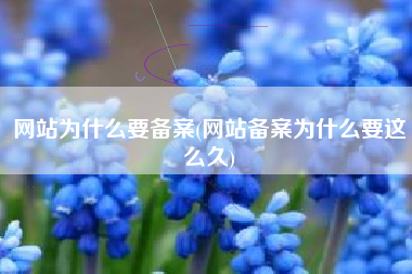网站为什么要备案(网站备案为什么要这么久)