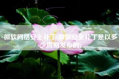 微软网络安全补丁(微软安全补丁是以多少周期发布的)
