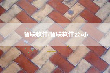 智联软件(智联软件公司)