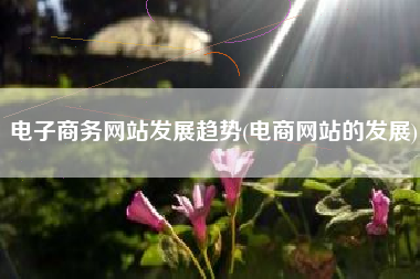 电子商务网站发展趋势(电商网站的发展)