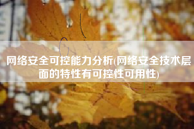 网络安全可控能力分析(网络安全技术层面的特性有可控性可用性)