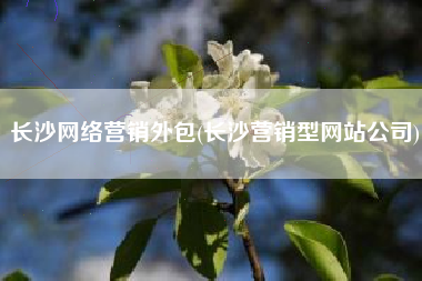 长沙网络营销外包(长沙营销型网站公司)
