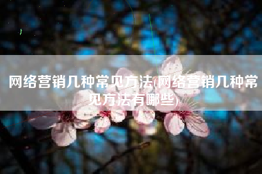 网络营销几种常见方法(网络营销几种常见方法有哪些)