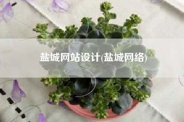 盐城网站设计(盐城网络)