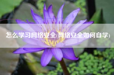 怎么学习网络安全(网络安全如何自学)
