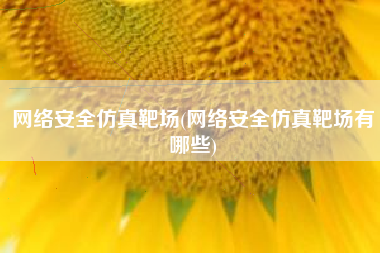 网络安全仿真靶场(网络安全仿真靶场有哪些)