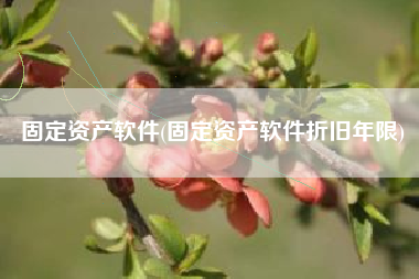 固定资产软件(固定资产软件折旧年限)