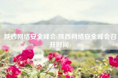 陕西网络安全峰会(陕西网络安全峰会召开时间)