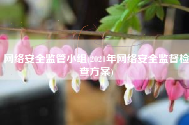 网络安全监管小组(2021年网络安全监督检查方案)