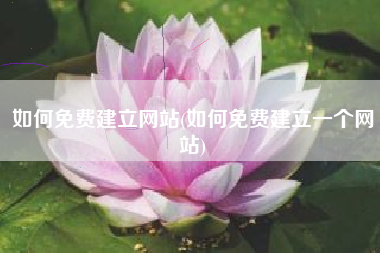 如何免费建立网站(如何免费建立一个网站)