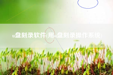 u盘刻录软件(用u盘刻录操作系统)