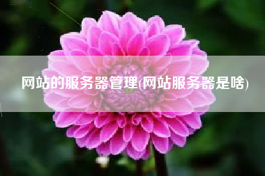 网站的服务器管理(网站服务器是啥)