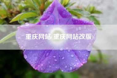 重庆网站(重庆网站改版)