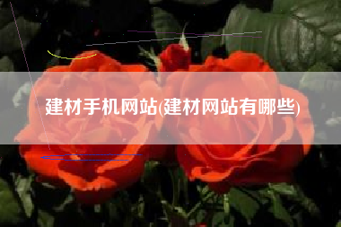建材手机网站(建材网站有哪些)