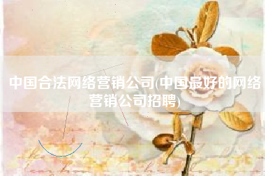 中国合法网络营销公司(中国最好的网络营销公司招聘)