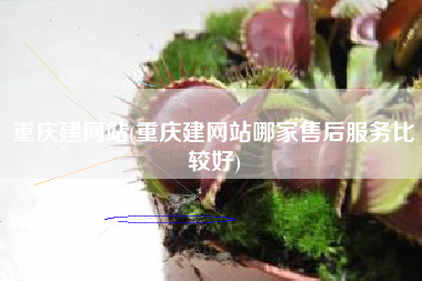 重庆建网站(重庆建网站哪家售后服务比较好)
