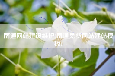 南通网站建设维护(南通免费网站建站模板)