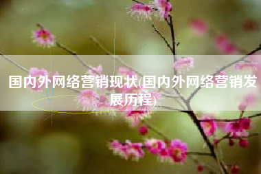 国内外网络营销现状(国内外网络营销发展历程)