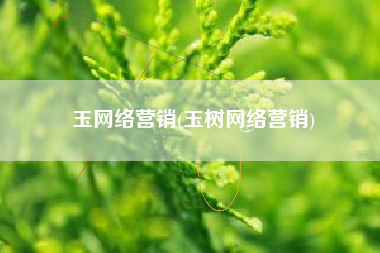 玉网络营销(玉树网络营销)