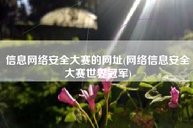 信息网络安全大赛的网址(网络信息安全大赛世界冠军)