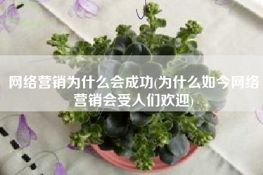 网络营销为什么会成功(为什么如今网络营销会受人们欢迎)