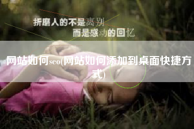 网站如何seo(网站如何添加到桌面快捷方式)