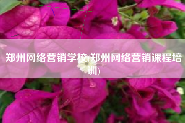 郑州网络营销学校(郑州网络营销课程培训)