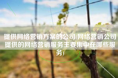 提供网络营销方案的公司(网络营销公司提供的网络营销服务主要集中在哪些服务)