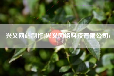 兴义网站制作(兴义网络科技有限公司)