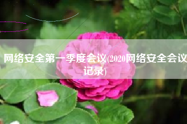 网络安全第一季度会议(2020网络安全会议记录)