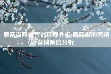 蘑菇街网络营销环境分析(蘑菇街的网络营销策略分析)