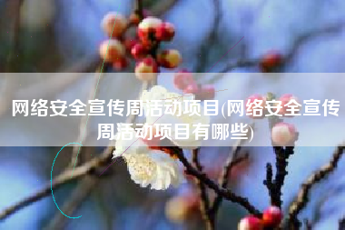 网络安全宣传周活动项目(网络安全宣传周活动项目有哪些)