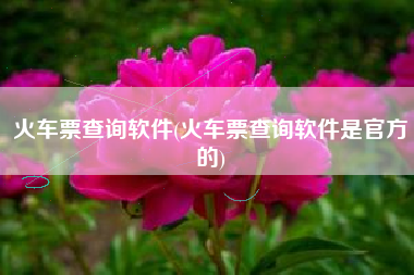 火车票查询软件(火车票查询软件是官方的)
