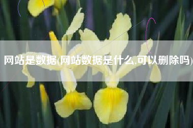 网站是数据(网站数据是什么,可以删除吗)