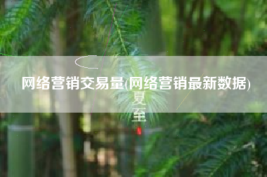 网络营销交易量(网络营销最新数据)