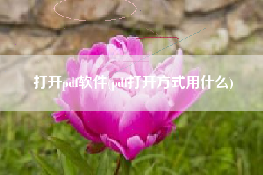 打开pdf软件(pdf打开方式用什么)