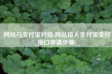 网站与支付宝对接(网站接入支付宝支付接口申请步骤)