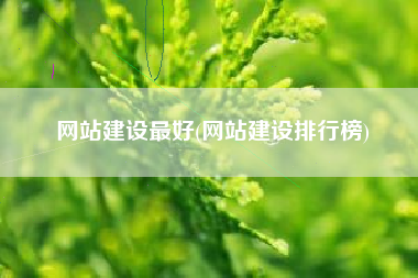 网站建设最好(网站建设排行榜)