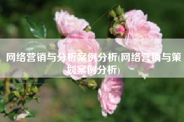 网络营销与分析案例分析(网络营销与策划案例分析)
