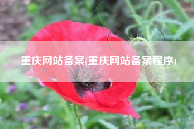 重庆网站备案(重庆网站备案程序)