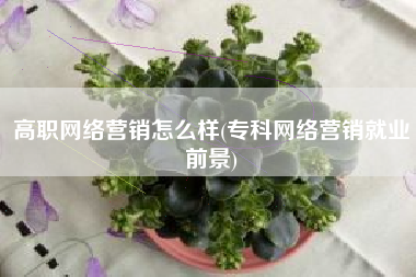 高职网络营销怎么样(专科网络营销就业前景)