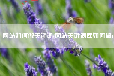 网站如何做关键词(网站关键词库如何做)