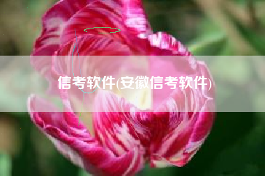 信考软件(安徽信考软件)
