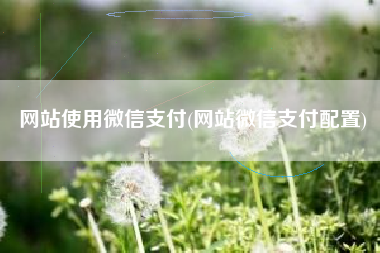 网站使用微信支付(网站微信支付配置)