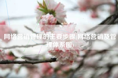 网络营销管理的主要步骤(网络营销及管理体系图)