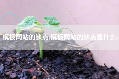 模板网站的缺点(模板网站的缺点是什么)
