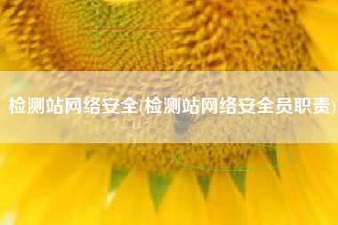 检测站网络安全(检测站网络安全员职责)