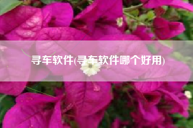 寻车软件(寻车软件哪个好用)